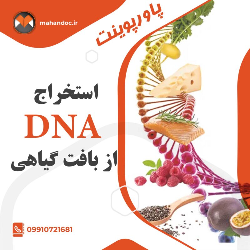 استخراج-DNA-از-بافت-گیاهی